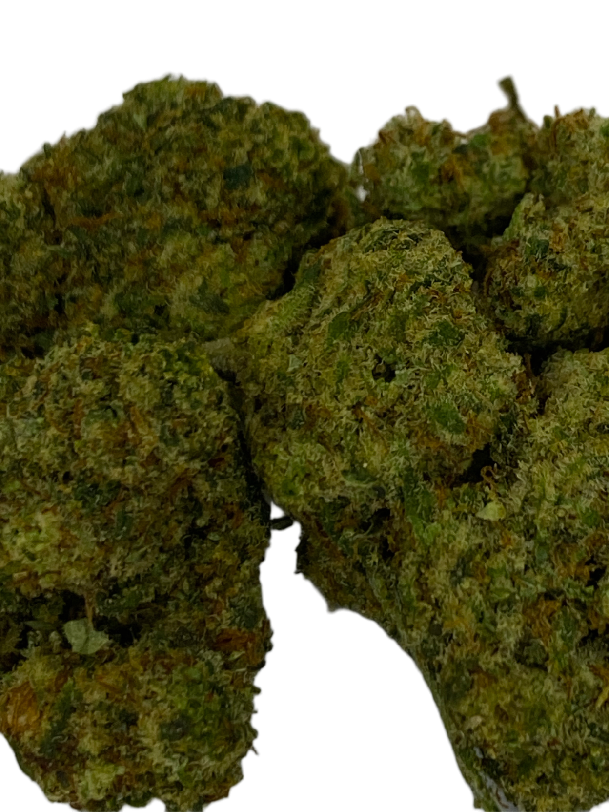Amnesia 3.0 - Indoor - HDH