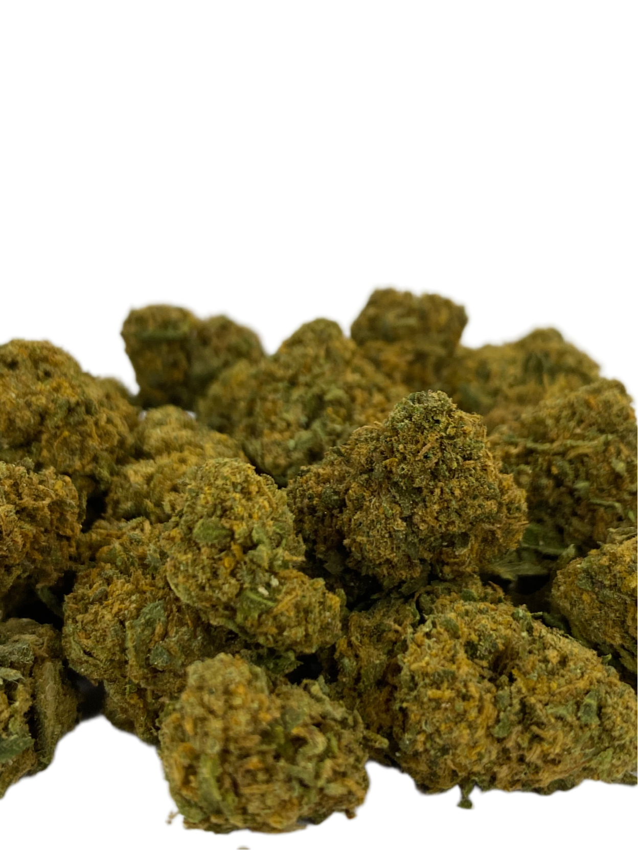 Skunk - Outdoor