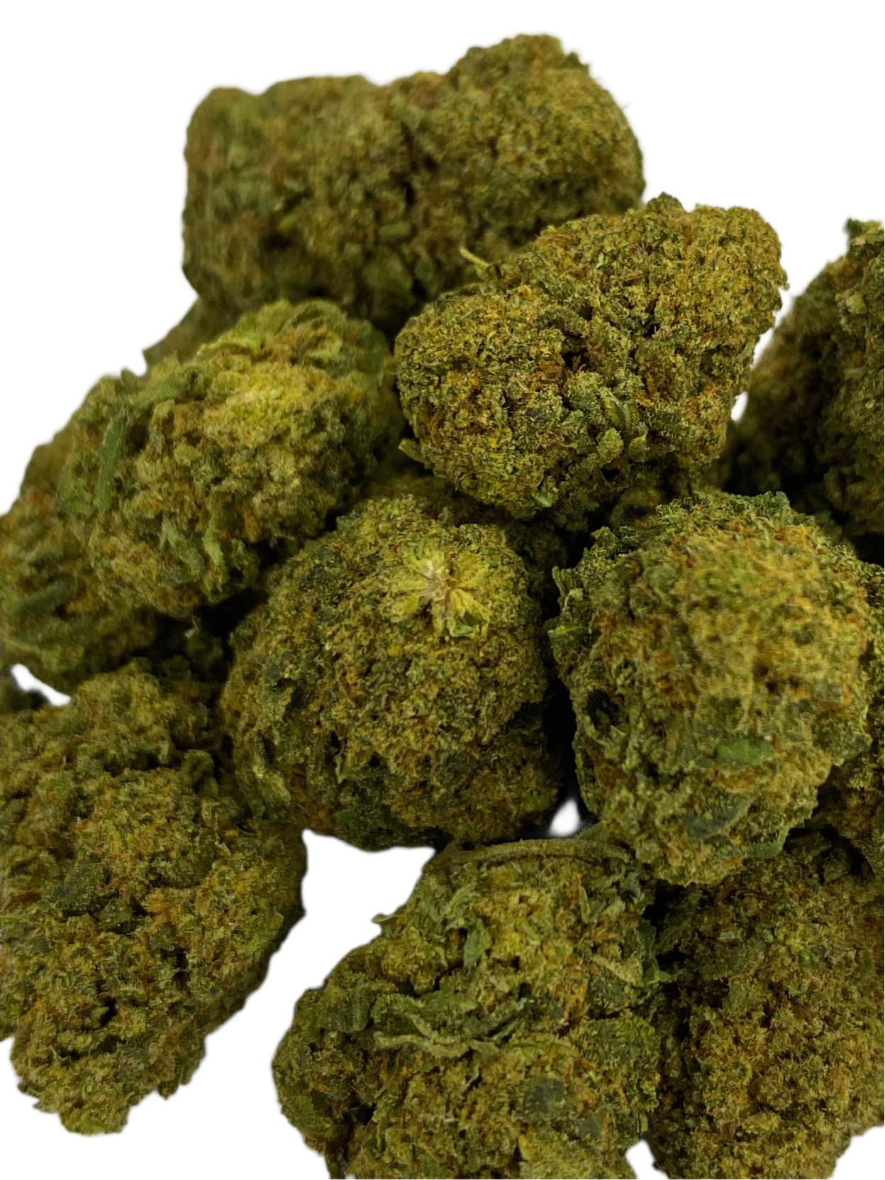 Skywalker - Indoor