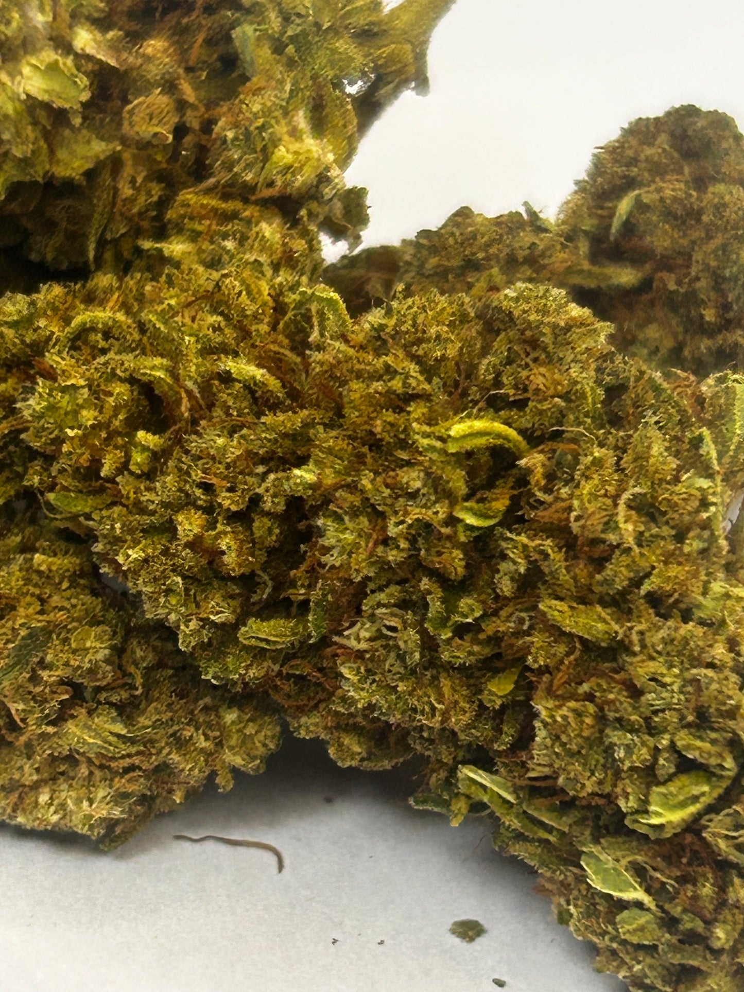 Gelato Cream