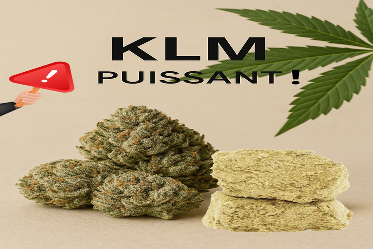 Gamme KLM (similaire THC)