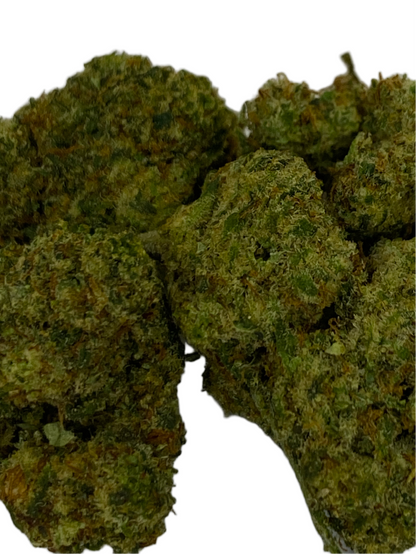 Amnesia 3.0 - Indoor - HDH