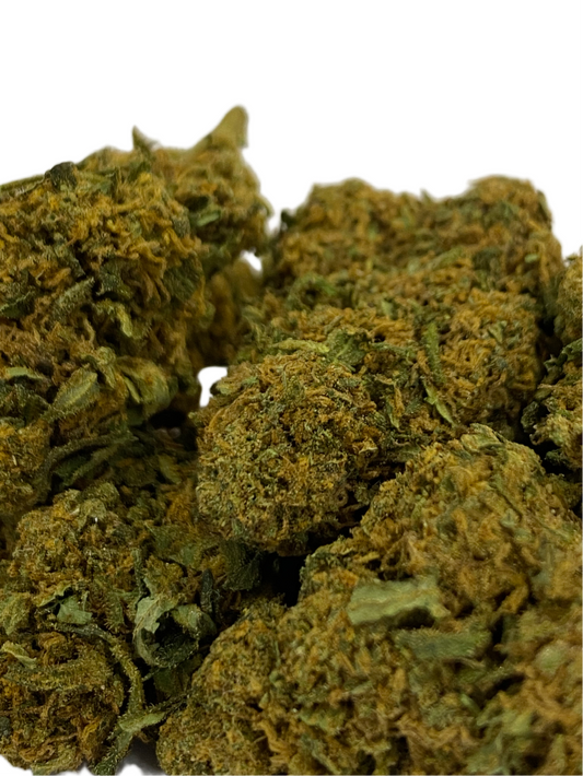 Skunk - Outdoor