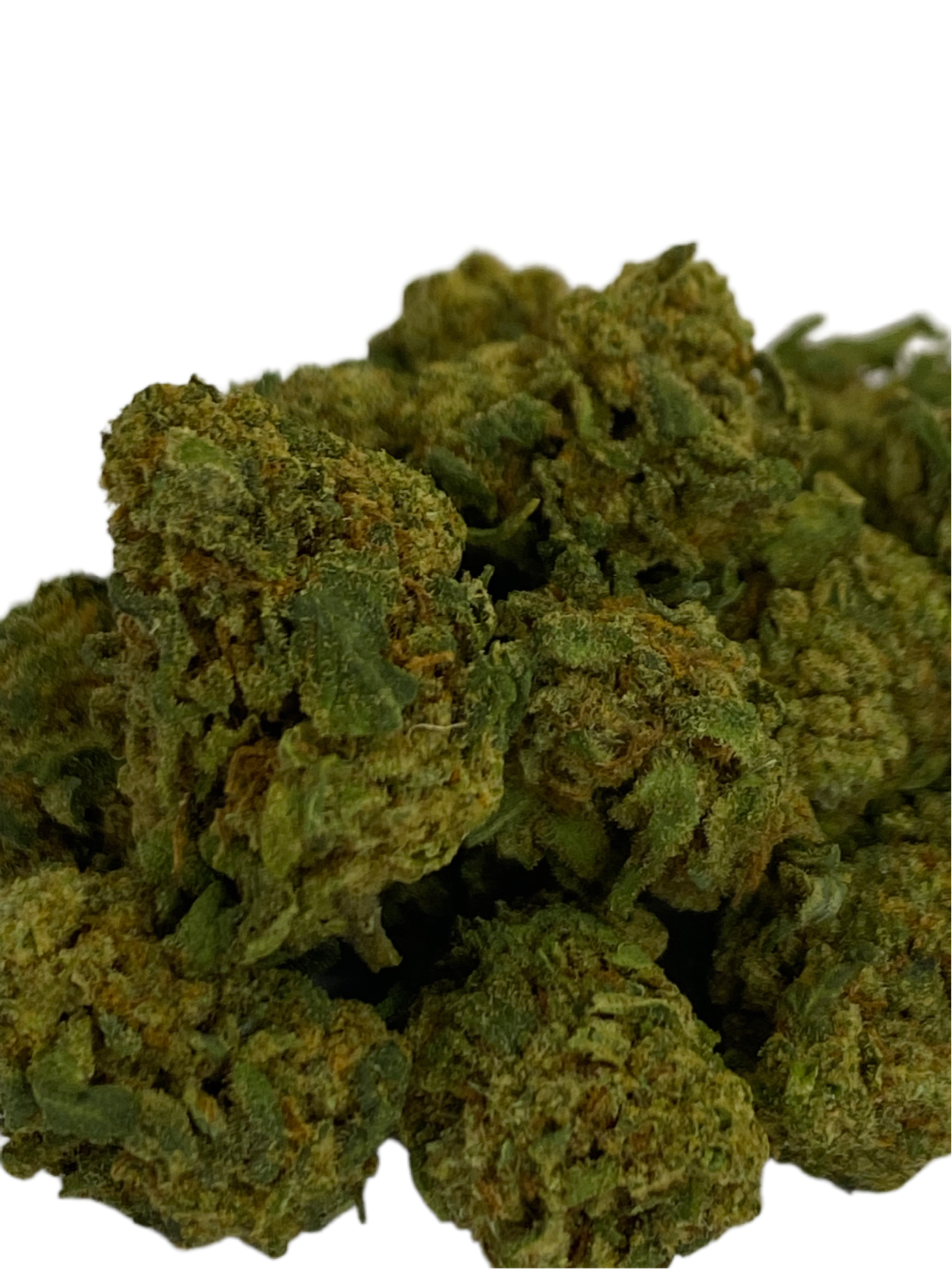 Tutti Frutti Small Buds - Indoor