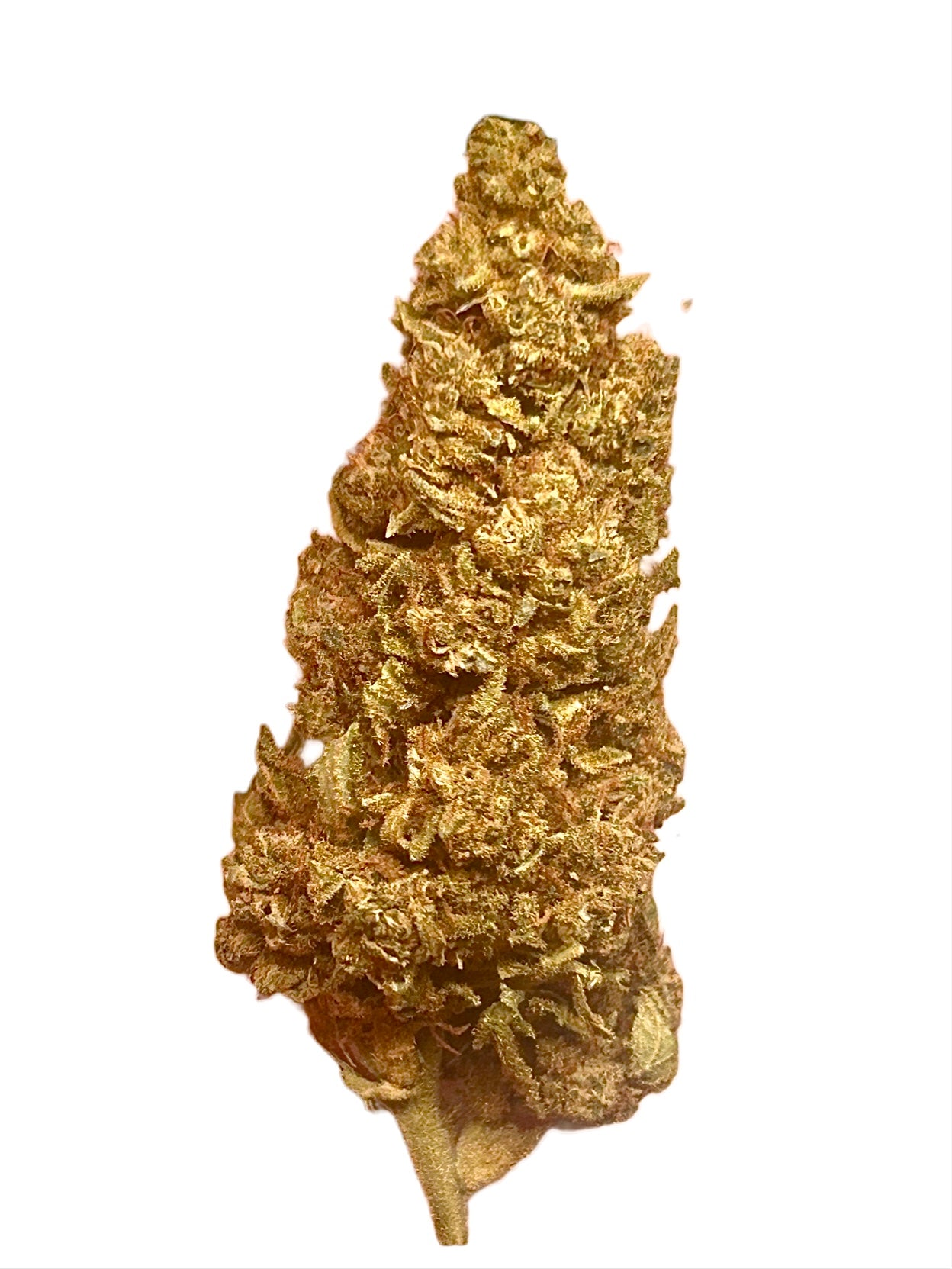 Big Buddha Cheese - CBD