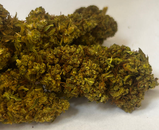 Gelato Cream