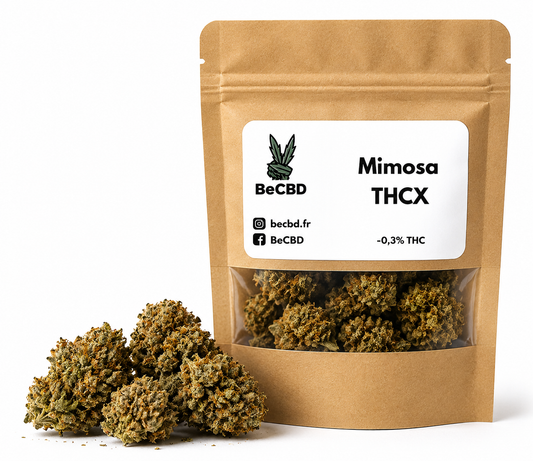Mimosa - THC-X