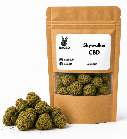 Skywalker - Indoor