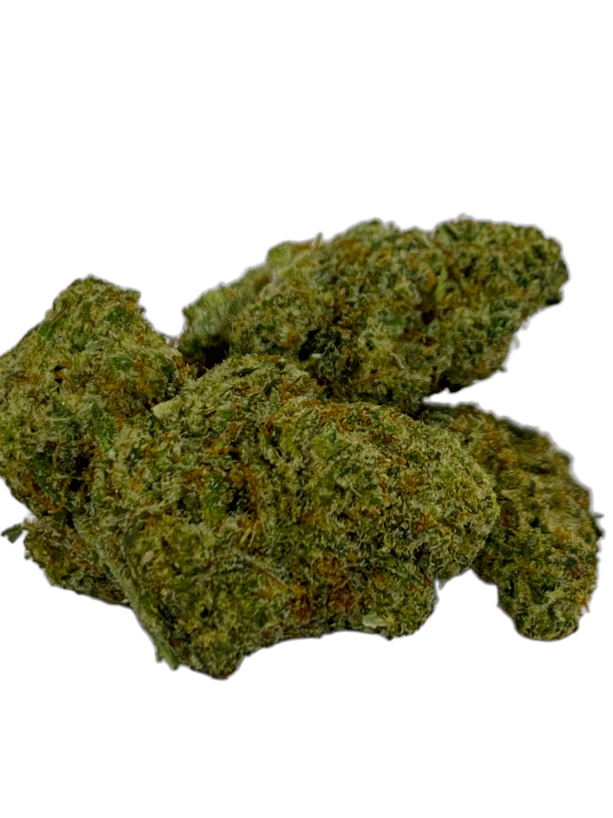 Amnesia 3.0 - Indoor - HDH