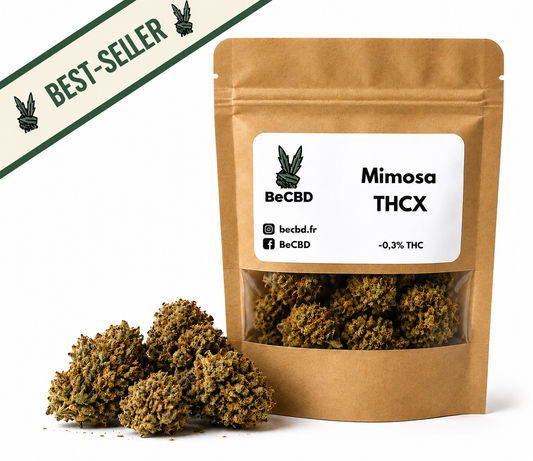 Mimosa - THC-X