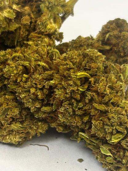 Gelato Cream