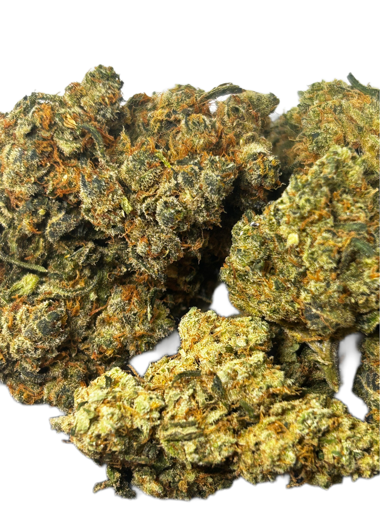 Amnesia Haze - THC-X